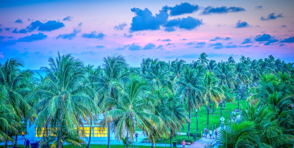 Top 5 things to do in Miami - South Beach