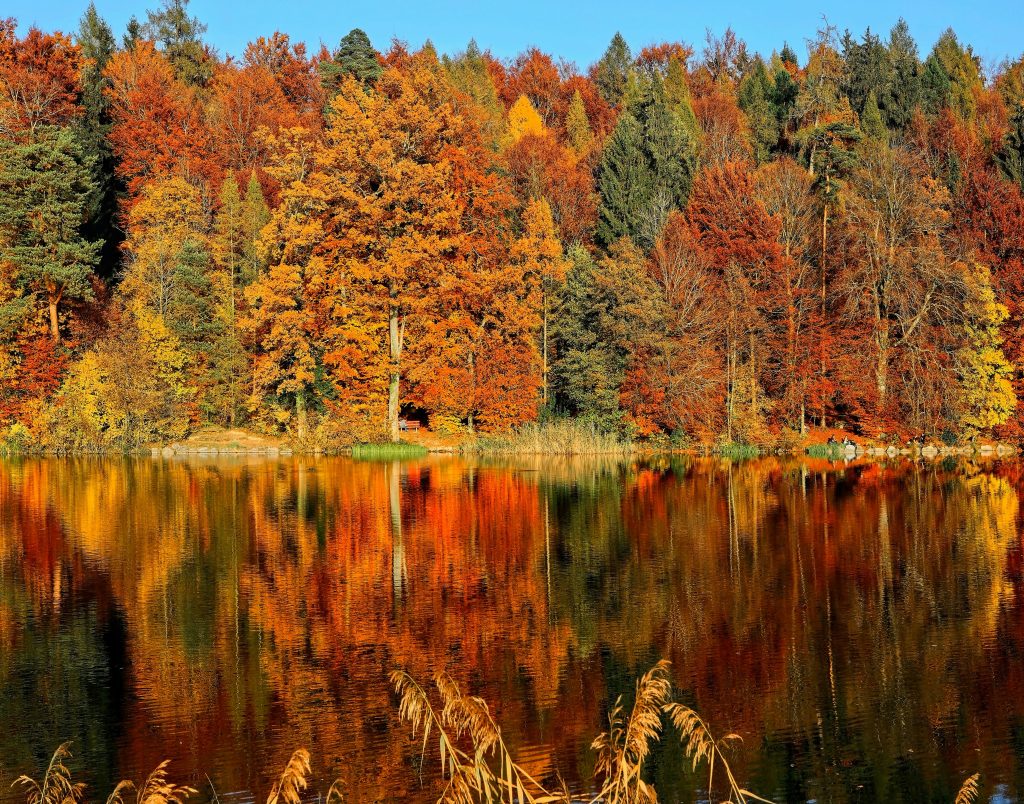 Budget Vacations by Season